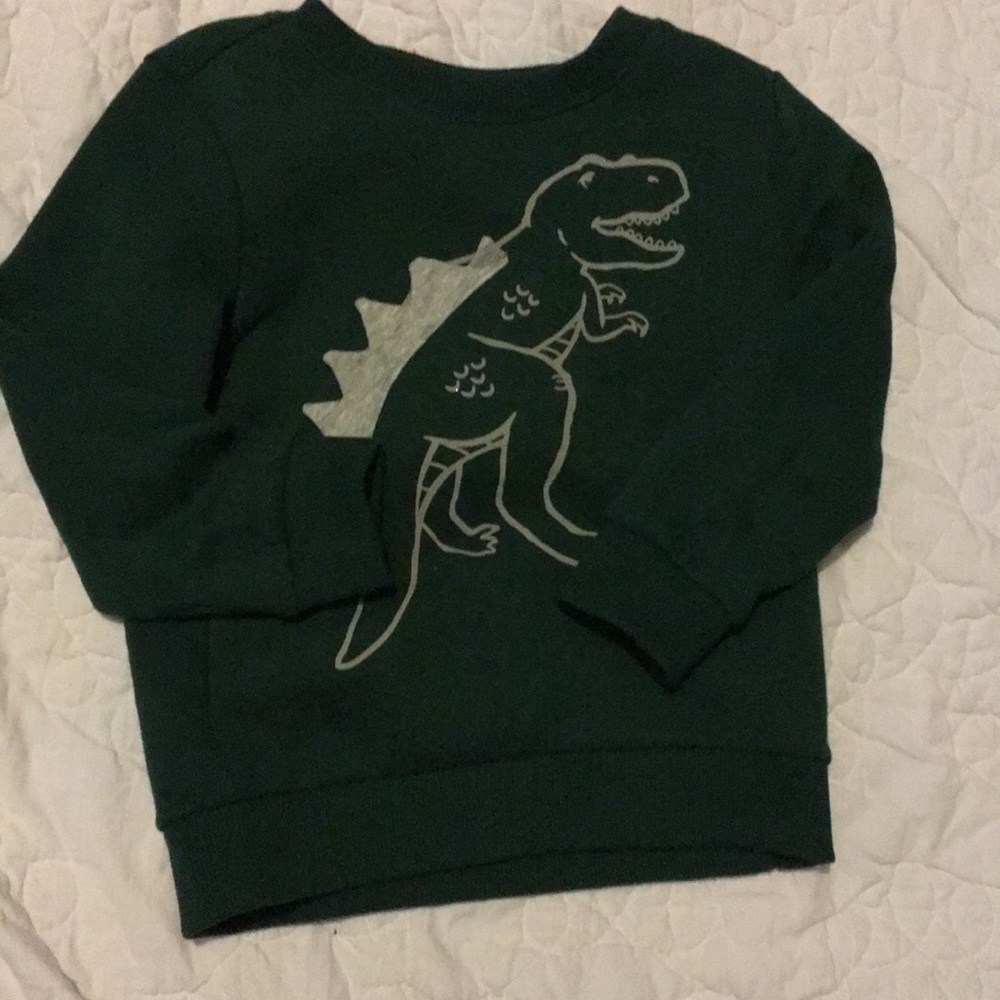 Carters dinasour shirt